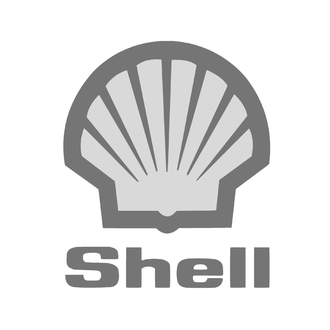 Shell - cornhole
